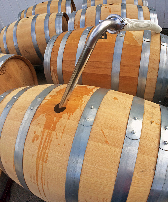 chardonnay in barrels 